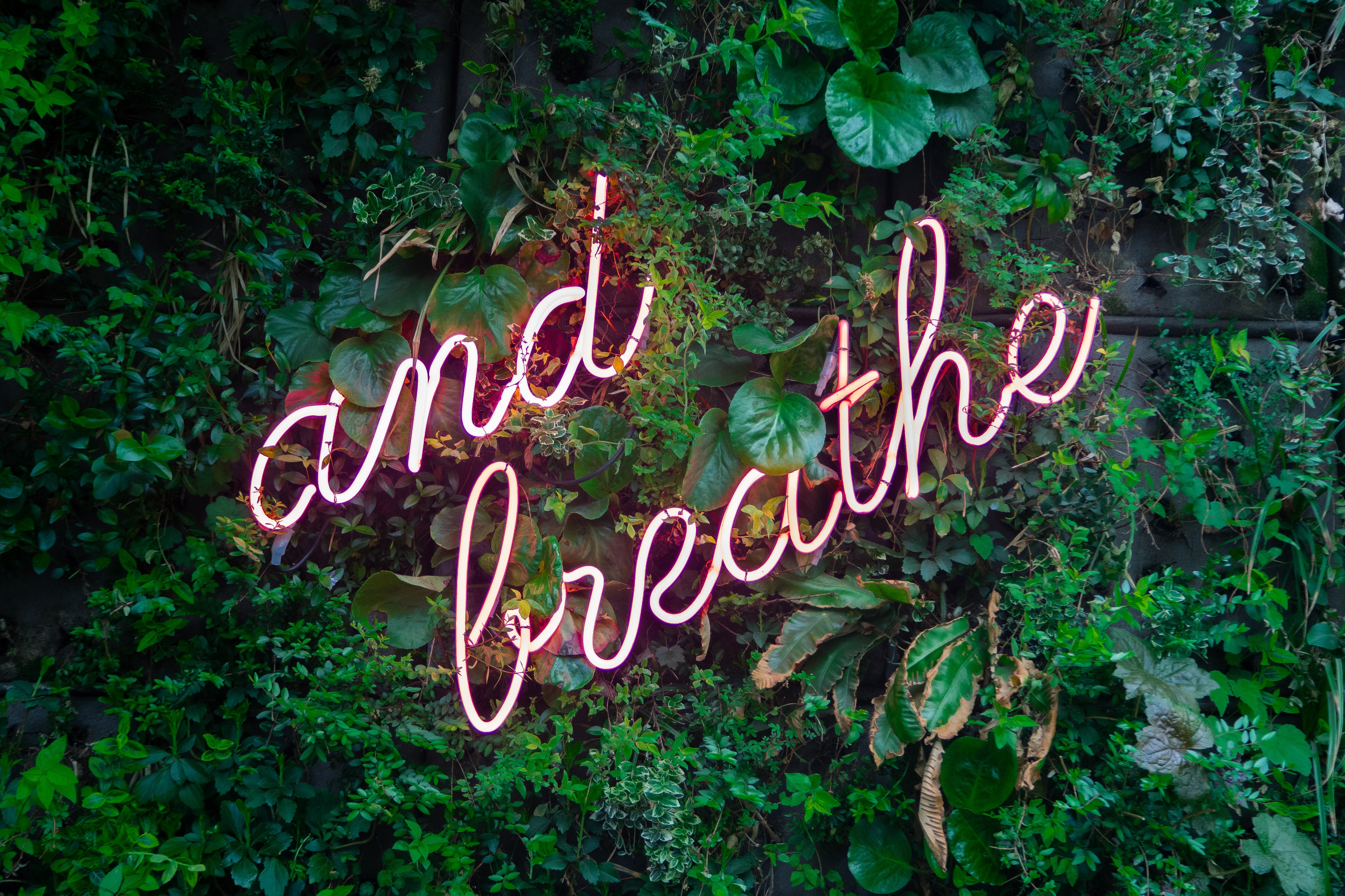 A wall of plants with And Breathe written in neon.